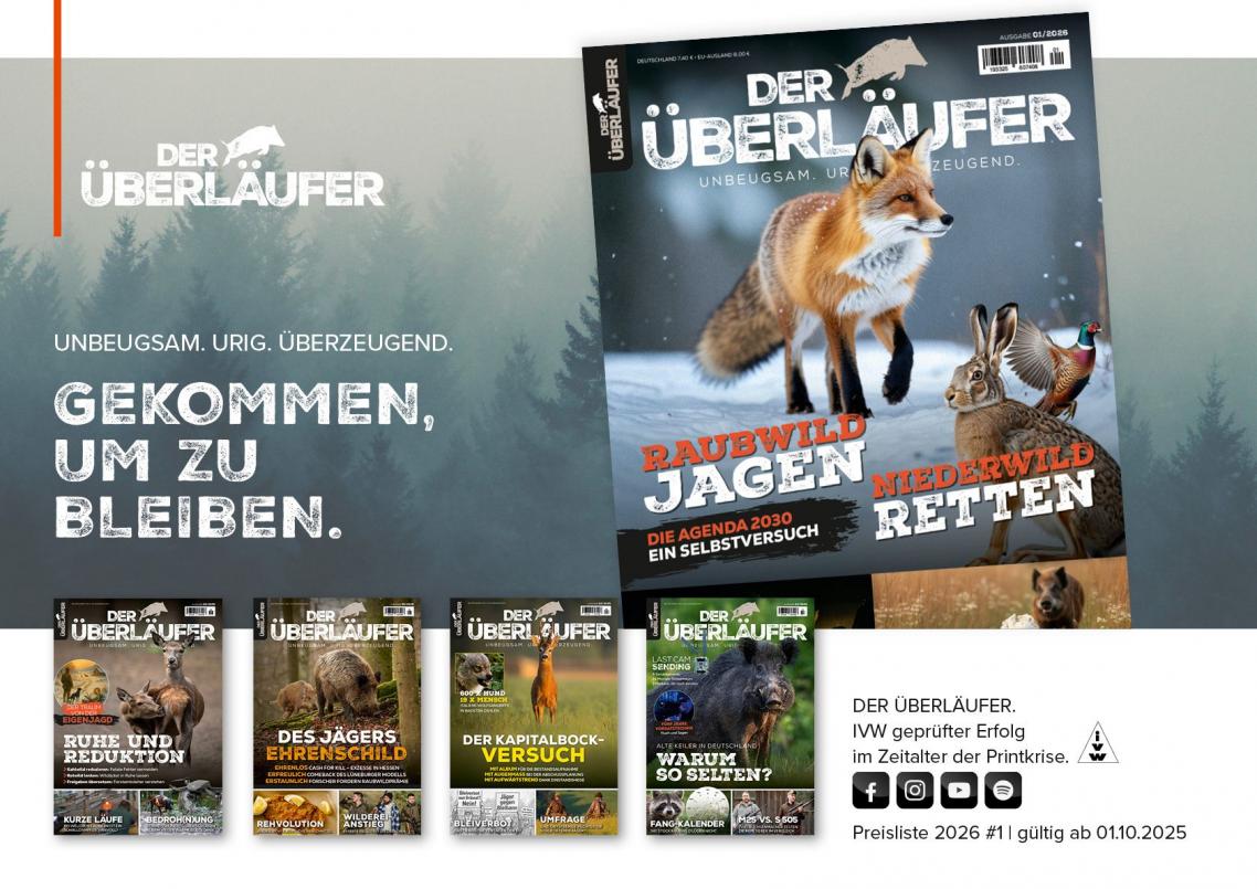 UEL-Mediasheet-2026v2_01